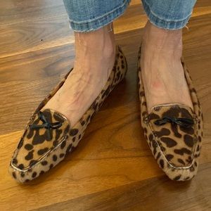 Leopard pony Prada loafers.